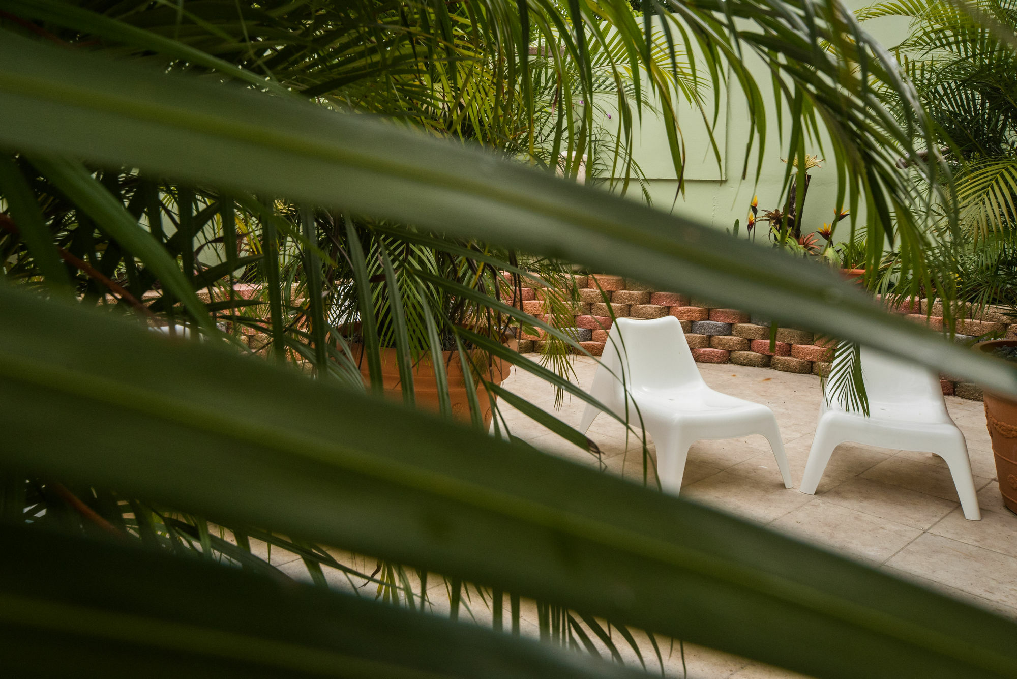 Rincon Plaza Hotel Екстериор снимка